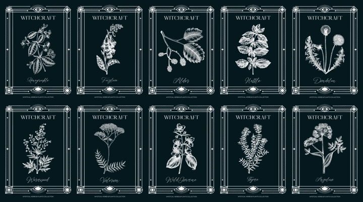 Art deco apothecary labels set. Witchcraft, healing herbs, mystical plants sketches. Vintage frame design templates. NOT AI generated